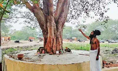 नासिक के कुंभ में12 साल पहले भी संतों-लोगों ने बचाए थे 200 पेड़