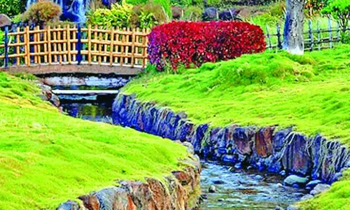 शहर के उद्यानों में दिखेगी विभिन्न राज्यों की संस्कृति