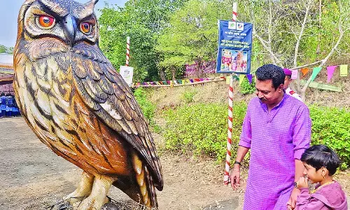 पुरंदर में छठा उलूक उत्सव शुरू