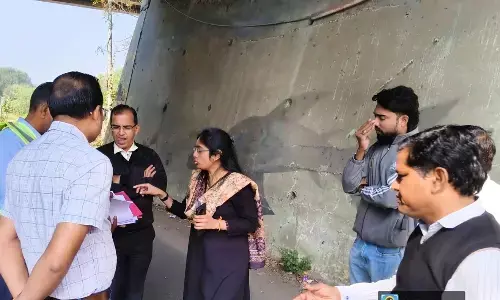 चिंचभवन इलाके में अतिरिक्त् आयुक्त का निरीक्षण, 429 पेड़ों की कटाई को लेकर समीक्षा