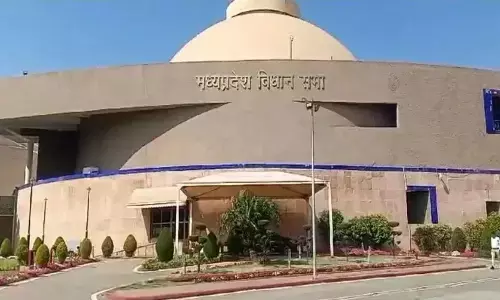 वन मंत्री जायसवाल नहीं दे पाए जवाब, बचाव में संसदीय कार्य मंत्री विजयवर्गीय ने कहा, वहां आदिवासियों की संख्या कम है वन मंत्री जायसवाल नहीं दे पाए जवाब, बचाव में संसदीय कार्य मंत्री विजयवर्गीय ने कहा, वहां आदिवासियों की संख्या कम है