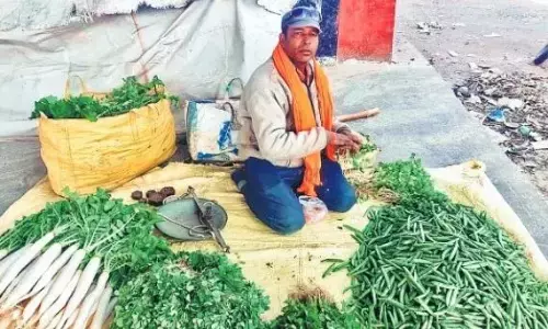 जैविक उत्पादों की बढ़ी मांग, फिर लगा हाट बाजार