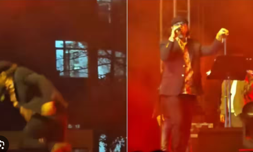 स्टेज पर परफॉर्म करते करते लड़खड़ाकर गिर पड़े सिंगर मोहित चौहान, मदद को भागे लोग, वायरल हुआ वीडियो