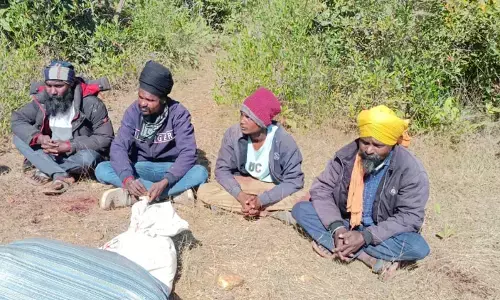 भंडारा में जंगली सुअर के मांस के साथ 4 शिकारी गिरफ्तार भंडारा में जंगली सुअर के मांस के साथ 4 शिकारी गिरफ्तार