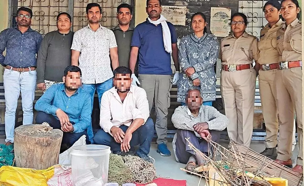 तेंदुए का शिकार करने वाले आरोपी पुलिस रिमांड में तेंदुए का शिकार करने वाले आरोपी पुलिस रिमांड में