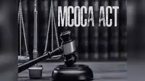 फायरिंग मामला में फरार पूर्व नगरसेवक समेत सात लोगों पर मकोका फायरिंग मामला में फरार पूर्व नगरसेवक समेत सात लोगों पर मकोका