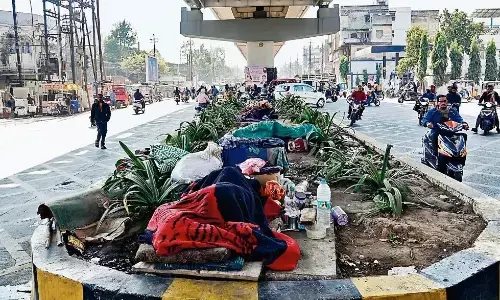 डिवाइडरों के अंदर लगे कचरे के ढेर दूर से ही सुंदर दिख रही हरियाली डिवाइडरों के अंदर लगे कचरे के ढेर दूर से ही सुंदर दिख रही हरियाली