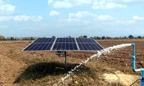 गडचिरोली के धानोरा के 22 गांवों में हो पाएगी बारहमासी खेती गडचिरोली के धानोरा के 22 गांवों में हो पाएगी बारहमासी खेती