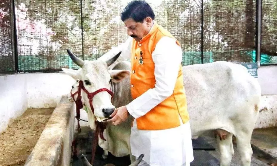 डेयरी क्रांति की ओर मध्यप्रदेश का बड़ा कदम है डॉ. भीमराव अम्बेडकर कामधेनु योजना: मुख्यमंत्री डॉ. यादव डेयरी क्रांति की ओर मध्यप्रदेश का बड़ा कदम है डॉ. भीमराव अम्बेडकर कामधेनु योजना: मुख्यमंत्री डॉ. यादव