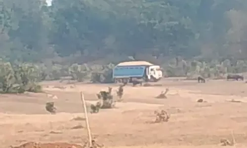 सोन घड़ियाल अभयारण्य में रेत माफिया का तांडव सोन घड़ियाल अभयारण्य में रेत माफिया का तांडव