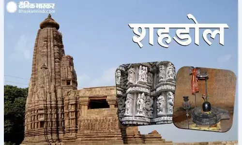 बांधवगढ़ के इको सेंसिटिव जोन में मनमाने निर्माण रोकने बनेगी राजस्व और बीटीआर की टीम