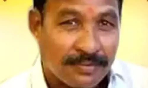 मधुमक्खियों के हमले में एक व्यक्ति की मौत, अन्य घायल मधुमक्खियों के हमले में एक व्यक्ति की मौत, अन्य घायल