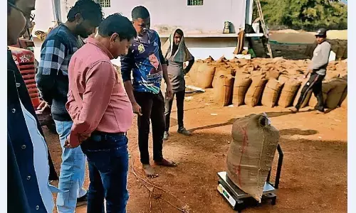 स्कूल शिक्षा विभाग के मुखिया को दे दी गई धान खरीदी की जिम्मेदारी स्कूल शिक्षा विभाग के मुखिया को दे दी गई धान खरीदी की जिम्मेदारी