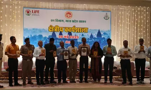 अंतरराष्ट्रीय वन मेले में कल्दा की चिरौंजी और वन धन उत्पादों की प्रस्तुति अंतरराष्ट्रीय वन मेले में कल्दा की चिरौंजी और वन धन उत्पादों की प्रस्तुति