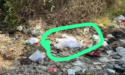 कचरे में मिला नवजात बच्ची का शव कचरे में मिला नवजात बच्ची का शव