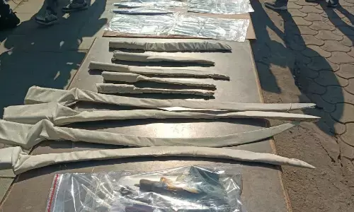 घर के अंदर हथियार बनाने का कारखाना, 79 छुरी और हथियार बरामद घर के अंदर हथियार बनाने का कारखाना, 79 छुरी और हथियार बरामद