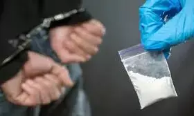 आलिशान कार में ड्रग्स बेचने आया युवक गिरफ्तार, 24 लाख रुपये का माल जब्त