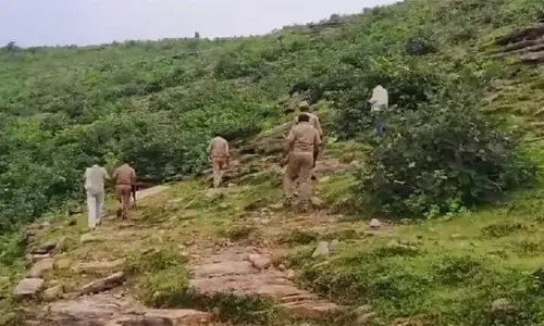 जंगली श्वानों का आतंक, नहीं लग रहे हाथ,  वन विभाग का सर्च ऑपरेशन विफल