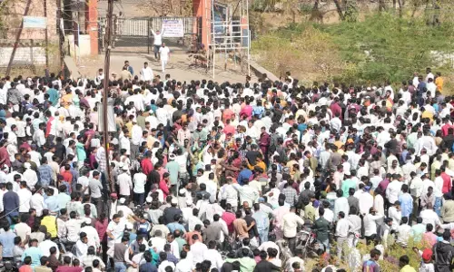 धाराशिव-तुलजापुर-नलदुर्ग- मुरुम में भाजपा तो उमरगा-कलंब-परांडा और भूम में शिवसेना ने लहराया परचम