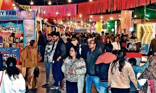 दैनिक भास्कर फैमिली फन फेस्ट से गुलजार हुआ एनएमटी