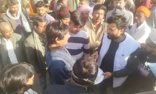 मोहंद्रा में जंगली सुअर के शिकार में लिप्त आरोपी गिरफ्तार, वन विभाग की टीम ने हथगोले भी किए जप्त