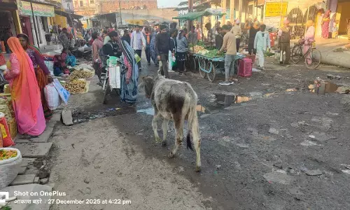 साप्ताहिक बाजार में घूमते हुए अवारा बैल, वृद्ध महिला पर अवारा बैल ने किया हमला साप्ताहिक बाजार में घूमते हुए अवारा बैल, वृद्ध महिला पर अवारा बैल ने किया हमला