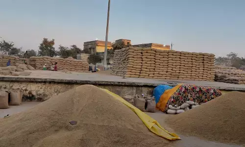 खरीदी केन्द्रों से धान का उठाव नहीं होने से बढ़ी परेशानियां, उपार्जन केन्द्रों में नहीं बची जगह, खरीदी का कार्य हो रहा प्रभावित खरीदी केन्द्रों से धान का उठाव नहीं होने से बढ़ी परेशानियां, उपार्जन केन्द्रों में नहीं बची जगह, खरीदी का कार्य हो रहा प्रभावित