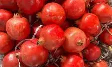 सातारा के किसानों का अनार 600 रुपए किलो मूल्य पर बिका