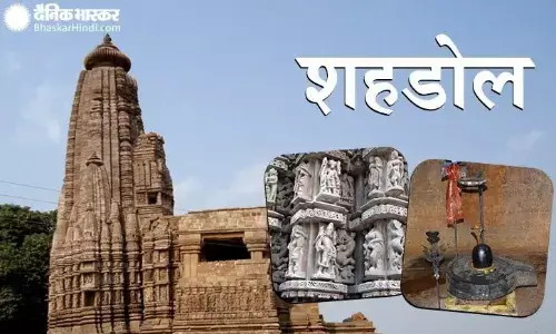 वायरल ऑडियो से भाजपा संगठन में उबाल