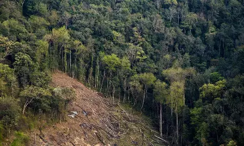 वनों में सर्वेक्षण एवं अन्वेषण में डीएफओ अब एक बार से अधिक आपत्ति नहीं ले सकेंगे