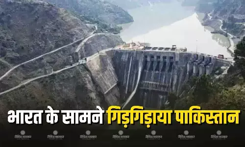 हमने चिनाब नदी पर दुलहस्ती हाइड्रोपावर प्रोजेक्ट... पाकिस्तान ने सिंधु जल संधि को लेकर दिया बयान