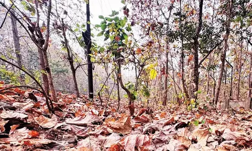 दो दिन में 4.3 डिग्री चढ़ा पारा, कड़ाके की ठंड से मिली राहत