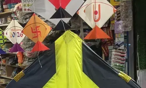 पतंग और डोर पर महंगाई का जोर, 5 रुपए से लेकर 150-200 रुपए तक की पतंग उपलब्ध