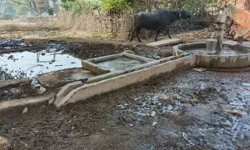 सामूहिक शक्ति की जीत, पाठा गांव के ग्रामीणों ने मिलकर संवारा अपना एकमात्र जल स्त्रोत सामूहिक शक्ति की जीत, पाठा गांव के ग्रामीणों ने मिलकर संवारा अपना एकमात्र जल स्त्रोत