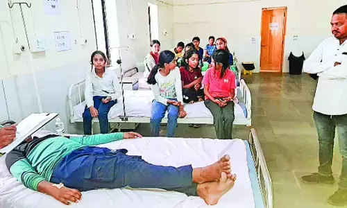 मधुमक्खियों के हमले में 27 बच्चे और आठ शिक्षक घायल मधुमक्खियों के हमले में 27 बच्चे और आठ शिक्षक घायल