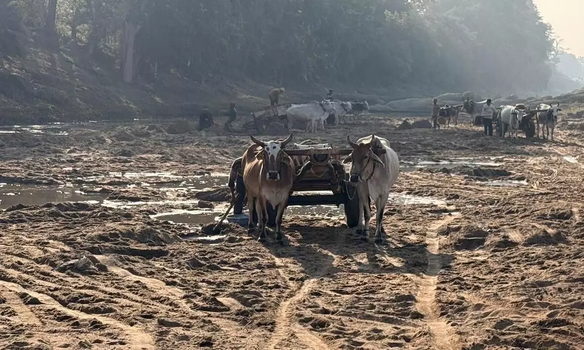 रेत के अवैध उत्खनन व परिवहन की अनोखी तस्वीर रेत के अवैध उत्खनन व परिवहन की अनोखी तस्वीर