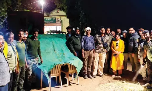 आखिर आक्रामक बाघ पकड़ा गया , महिला की ली थी जान