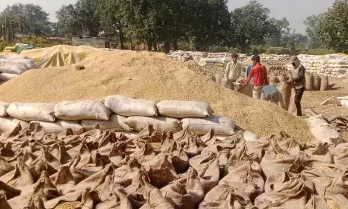 इंतजाम नाकाफी, प्रशासन नहीं करवा पाया 37 लाख क्विंंटल का परिवहन