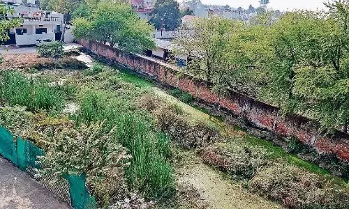 घरों में बाेरिंग से निकल रहा गंदा पानी, बीमारियों का खतरा