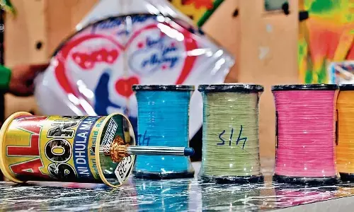 जानलेवा चायनीज मांझे की बिक्री रोकने के लिए मप्र में भी हो महाराष्ट्र जैसी सख्ती