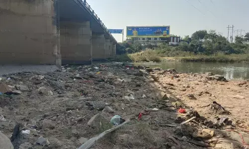 प्लास्टिक पन्नियों से पटी जीवनदायिनी इरई नदी