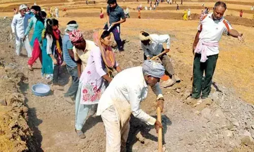 मनरेगा के नाम पर 80 पार के जवान भी काम पर, 5 लाख लोगों को मिला रोजगार