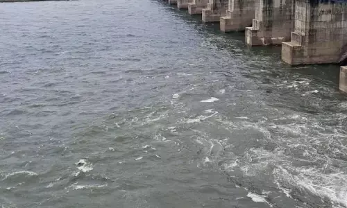 गोसीखुर्द प्रकल्पग्रस्तों ने शुरू किया विरोध प्रदर्शन