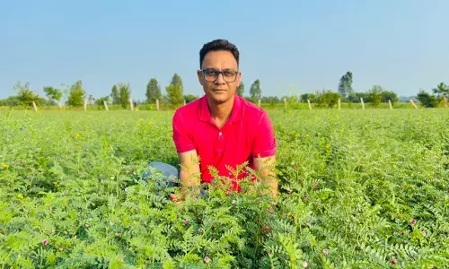 कॉरपोरेट की चमक छोड़ खेती को चुना जीवन का रास्ता, संकल्प शर्मा बने युवाओं के लिए प्रेरणा