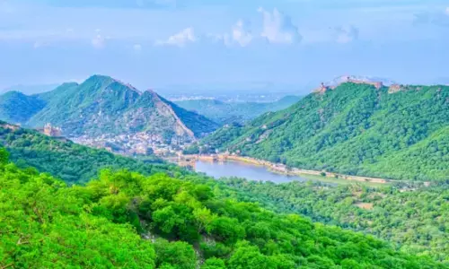 भूपेंद्र यादव ने कहा - केंद्र ने शुरू किया अरावली ग्रीन वॉल प्रोजेक्ट, संयुक्त राष्ट्र मरूस्थीकरण रोकथाम की जुगत