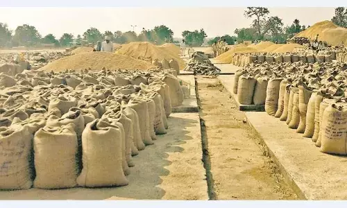 धान के अवैध भंडारण की सूचना पर एथेनॉल फैक्ट्री की जांच