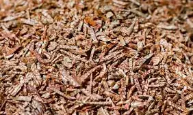 मंत्री के दस्ते ने सुपारी गोदामों पर मारा छापा, 3 करोड़ का माल जब्त