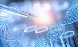 ट्रांजिएंट नियोनेटल डायबिटीज के लिए खोजा दुनिया का पहला जेनेटिक लिंक ट्रांजिएंट नियोनेटल डायबिटीज के लिए खोजा दुनिया का पहला जेनेटिक लिंक