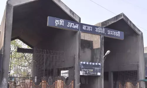 अमरावती कृषि मंडी का संचालक मंडल बर्खास्त, भातकुली में स्वतंत्र एपीएमसी
