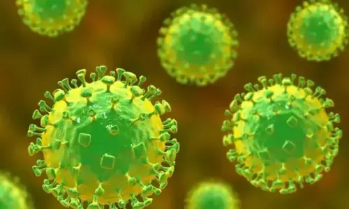 इंसान के शरीर में निपाह वायरस 4 से 14 दिन तक साइलेंटली छिपा रह सकता है, जाने कब हो जाता है खतरनाक?